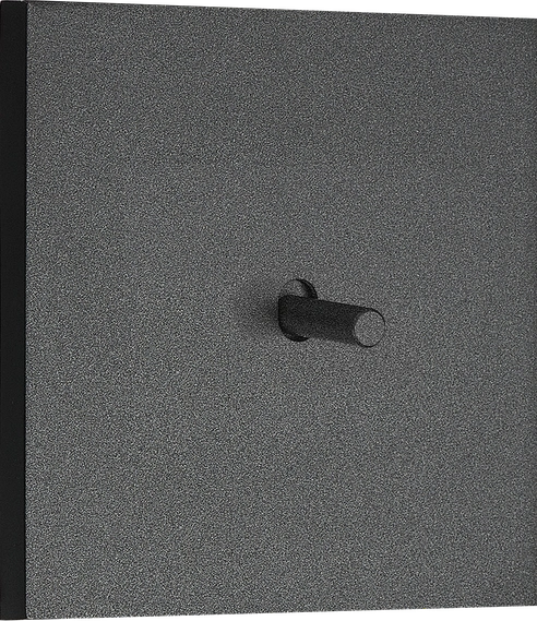 Image detail